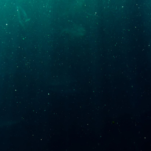 Luminescent Shark Banner