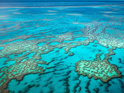 Queensland Scuba Diving Banner2