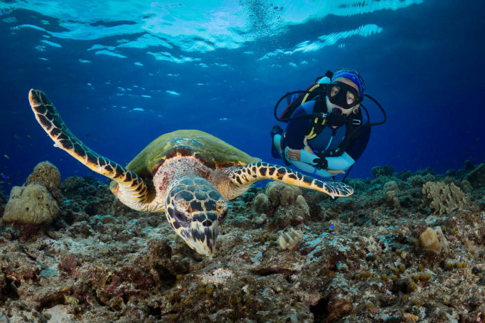 Cairns Port Douglas Scuba Diving 3