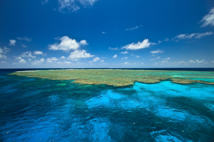 Lizard Island Diving 4
