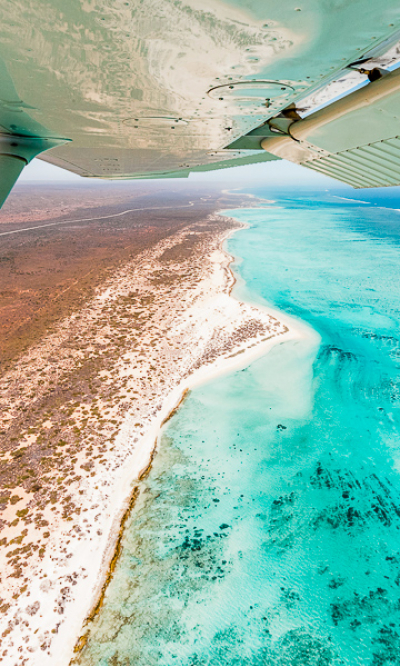 Ningaloo Reef Exmouth Western Australia Scuba Diving Portrait