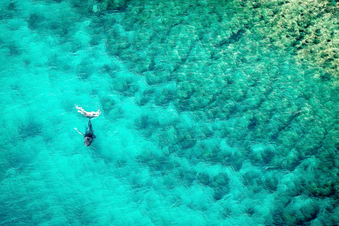Humpback Whale Ningaloo Reef Exmouth Western Australia Scuba Diving