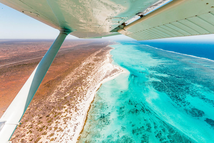 Ningaloo Reef Exmouth Western Australia Scuba Diving 7
