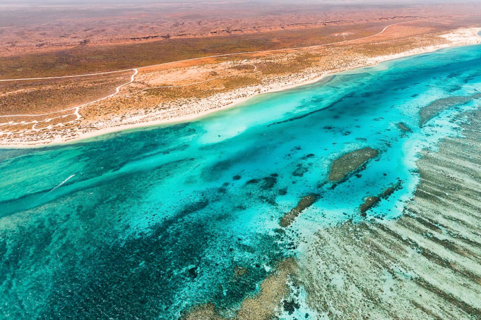 Ningaloo Reef Exmouth Western Australia Scuba Diving 9