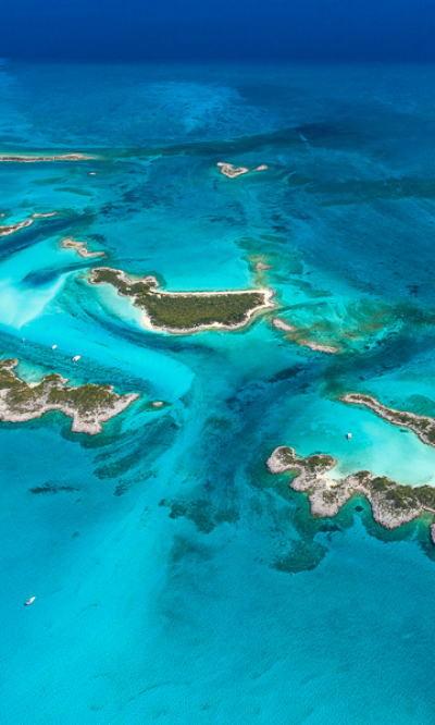 Eleuthera Exumas Cat Island Diving Bahamas Portrait