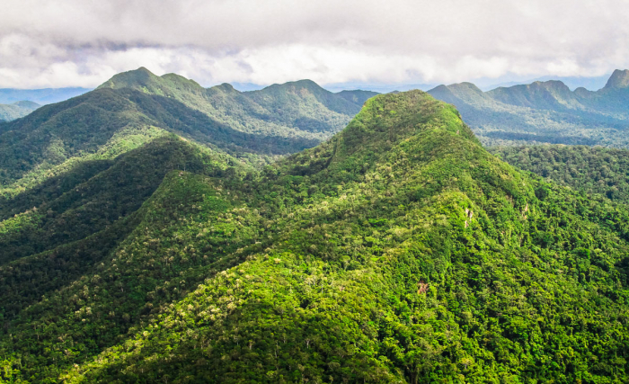 Belize Cockscombe Reserve