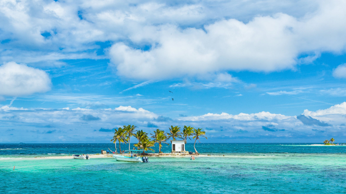 Glovers Reef Hopkins Plancecia Diving Belize Banner