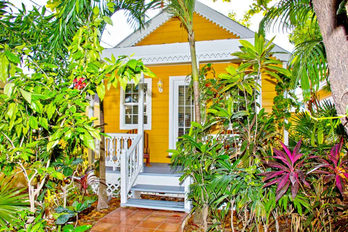Steve Beckys Belize 2