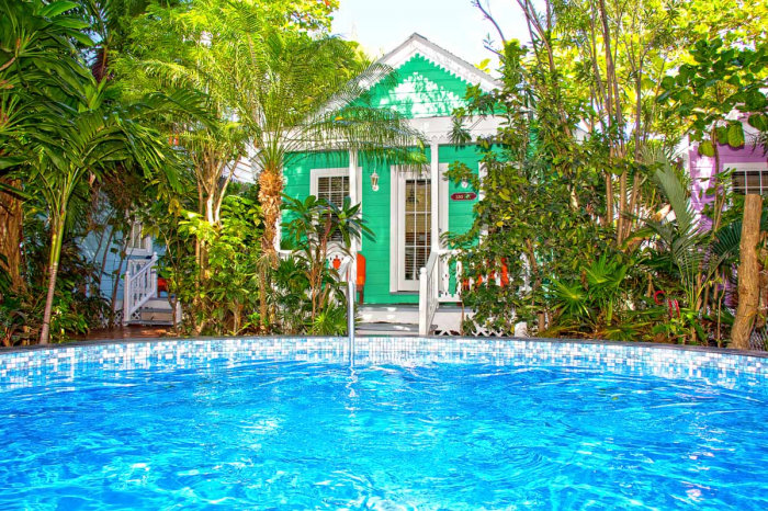 Steve Beckys Belize 5