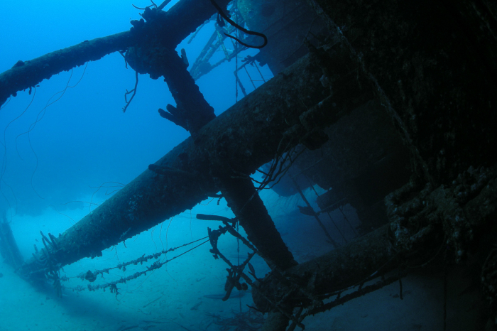 Bonaire Scuba Diving 9