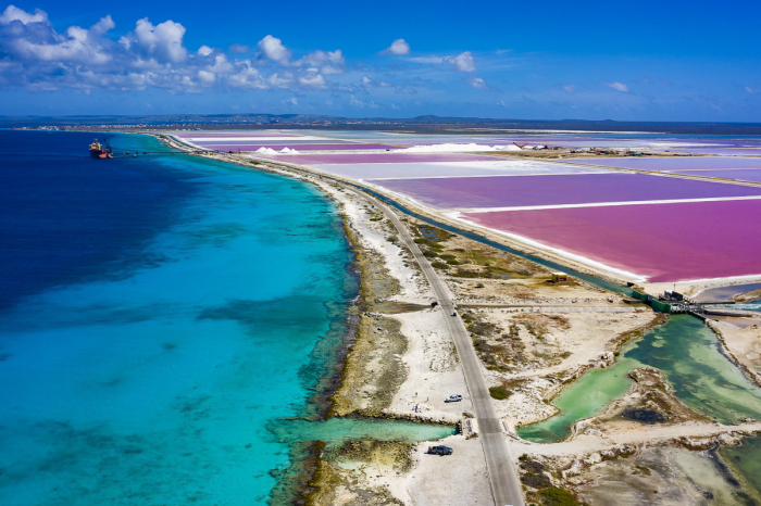 Bonaire Scuba Diving 12