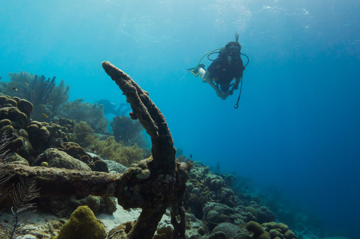 Bonaire Scuba Diving 14