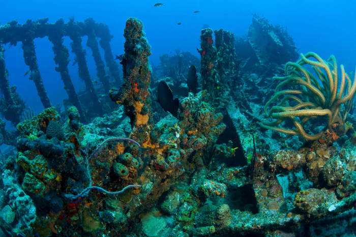 British Virgin Islands Scuba Diving 2
