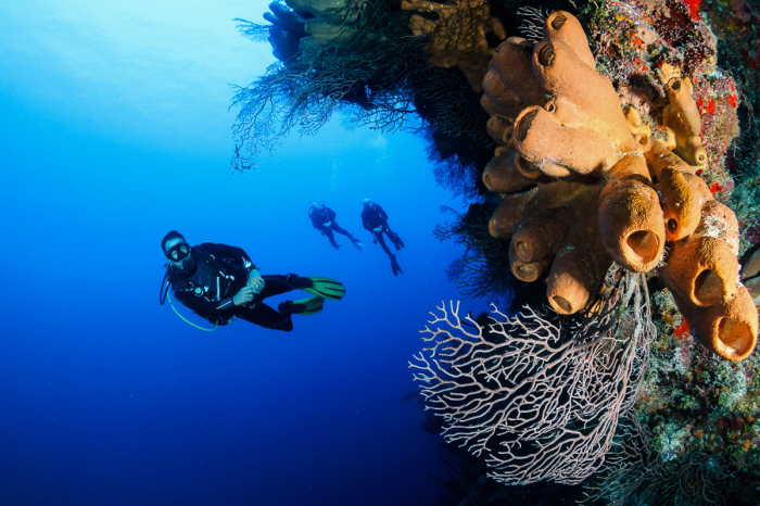 Cayman Brac Little Cayman Scuba Diving 10