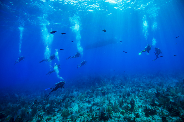 Cayman Brac Little Cayman Scuba Diving