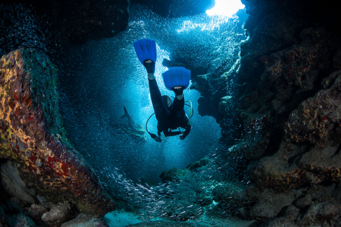 Grand Cayman Scuba Diving 6
