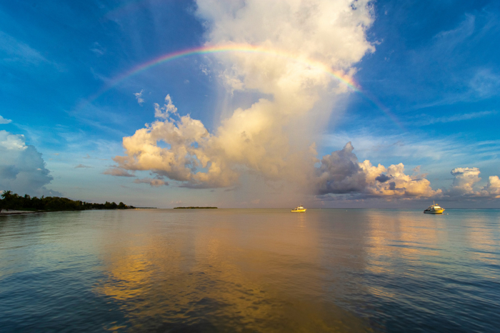 Little Cayman Beach Resort 5