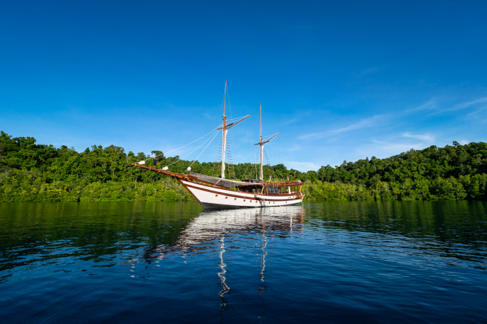 Majik Charter Yacht 19