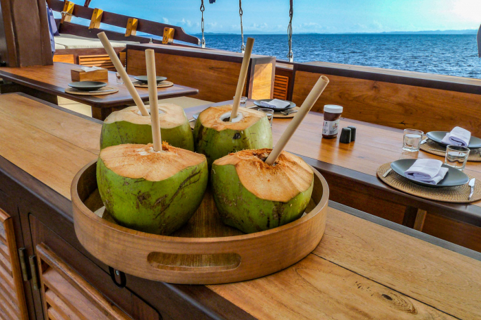 Majik Charter Yacht 24