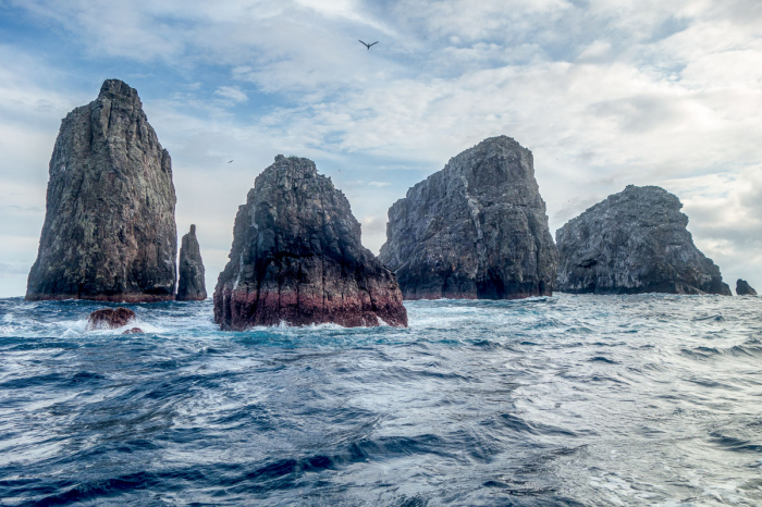 Malpelo Island Colombia Diving 6