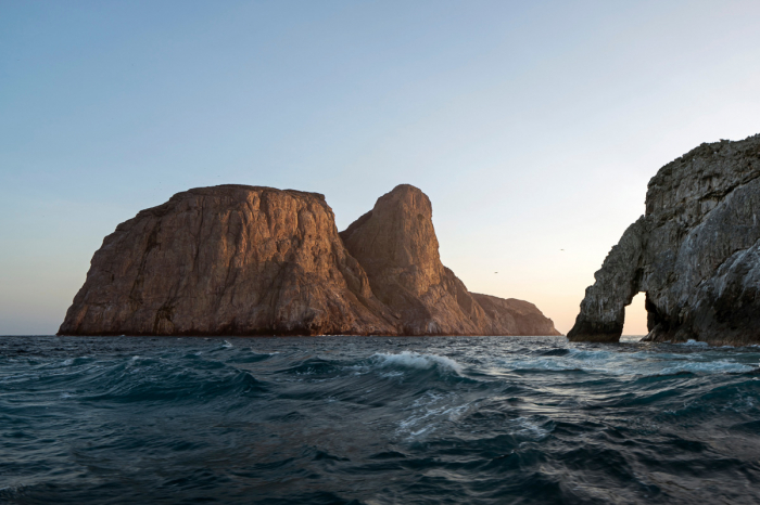 Malpelo Island Colombia Diving 14