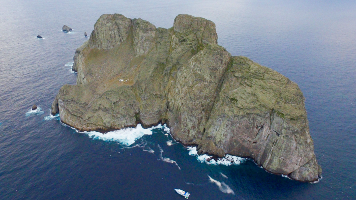 Malpelo Island Colombia Diving Banner