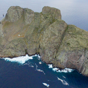 Malpelo Island Colombia Diving Banner