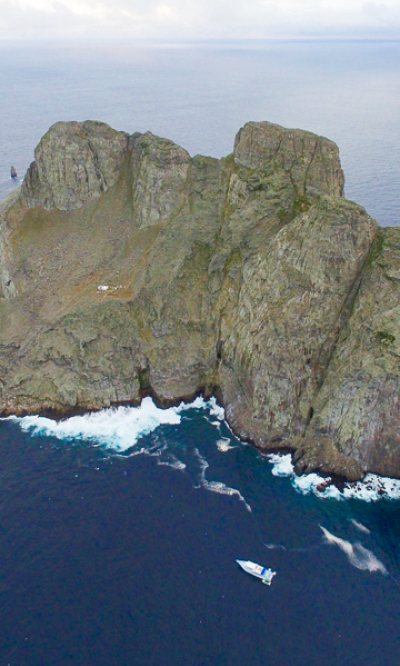 Malpelo Island Colombia Diving Portrait