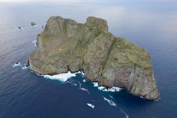 Malpelo Island Colombia Diving