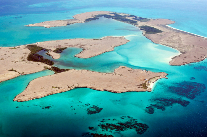 Djibouti Scuba Diving 10