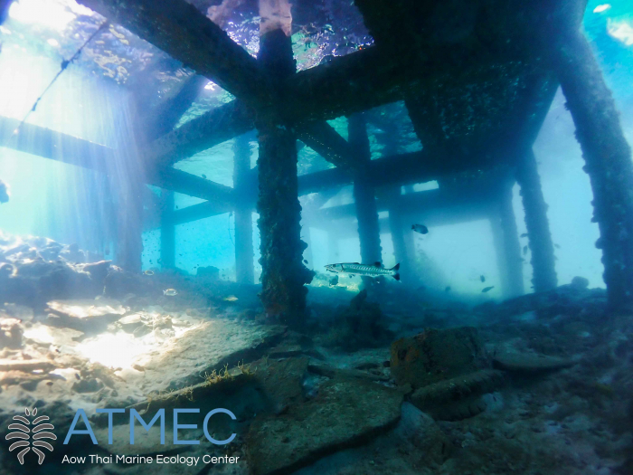 Atmec Ecoventure 11