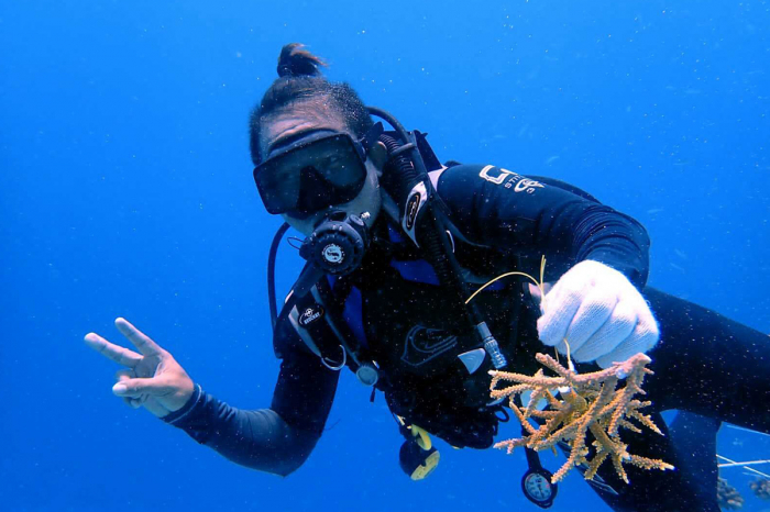 Atlantis Resort Ecoventure Coral Restoration 3