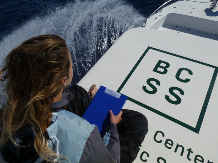 Marine Survey With Bcss