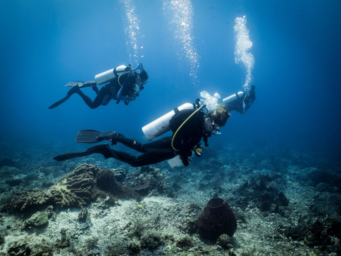 Indo Ocean Project Bira Survey Diving