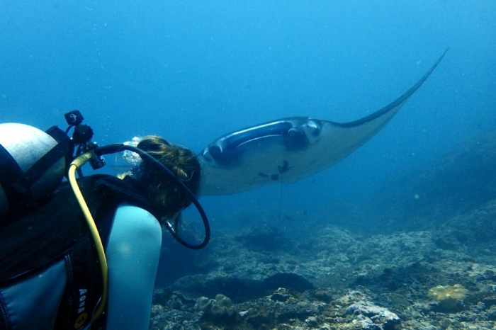 Indo Ocean Project Penida - manta point diving