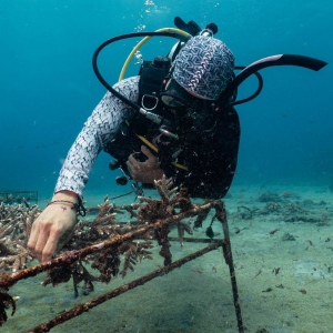 Indo Ocean Project Penida - Coral rehabilitation