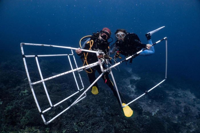 Indo Ocean Projet Research Buddies