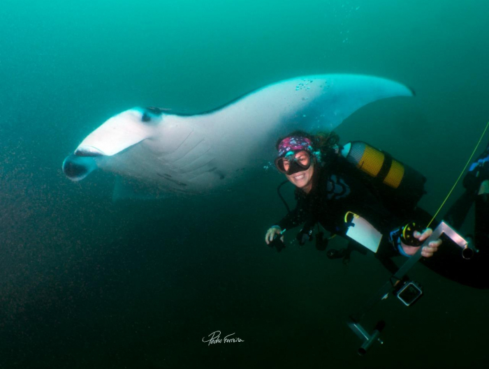 Mar Expeditions Manta Ray Conservation
