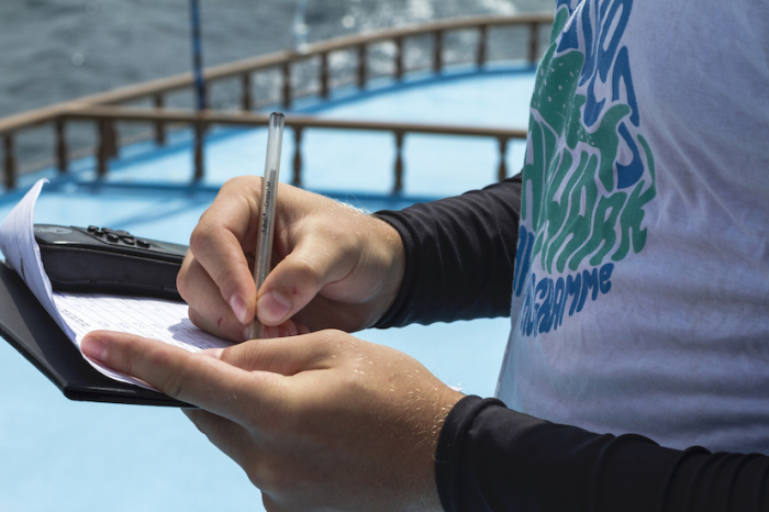 Mwsrp Whale Shark Research Team