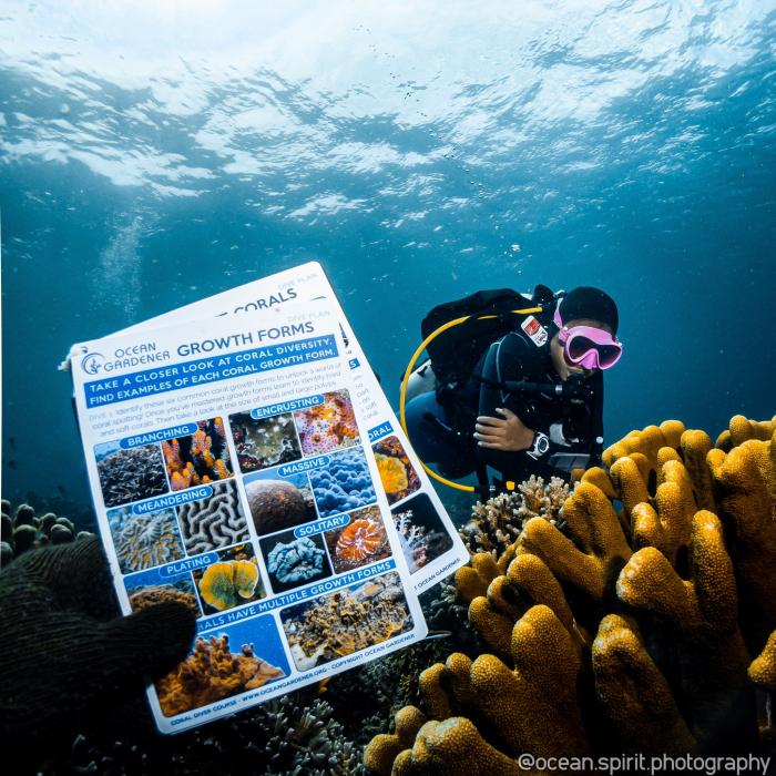Ocean Gardener 8
