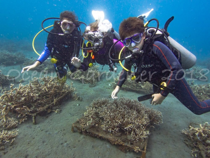 Ocean Gardener 3