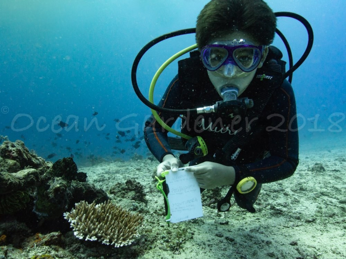 Ocean Gardener 1