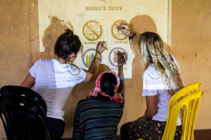 Fuze Ecoteer - Painting murals