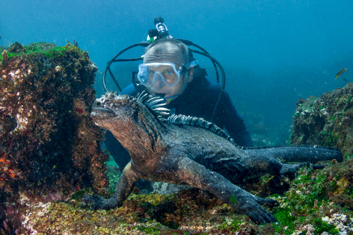 galapagos scuba diving day trips