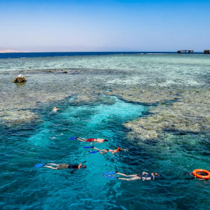 Red Sea Scuba Diving 07