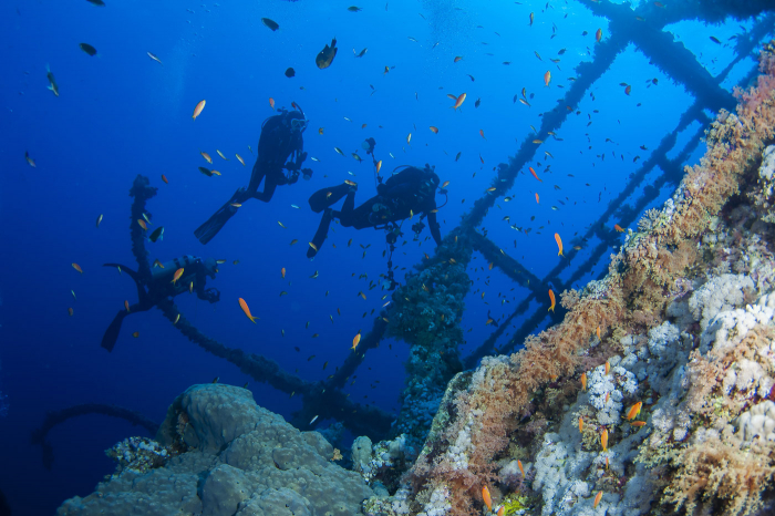 Marsa Alam Brothers Elphinstone 07