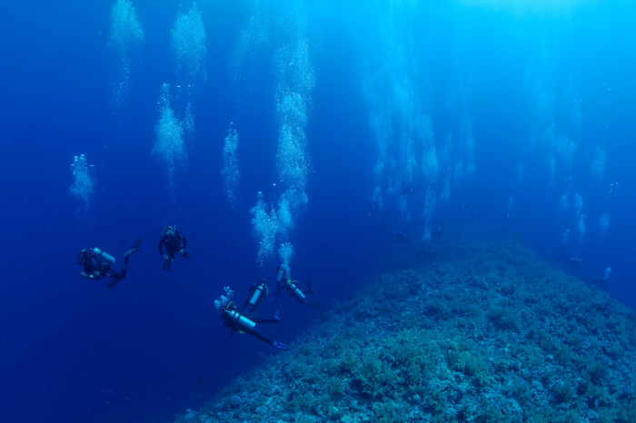 Marsa Alam Brothers Elphinstone 08