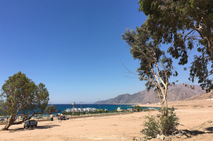 Red Sea Relax Dahab 19