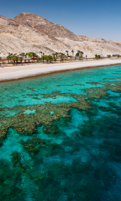 Sharm El Sheikh Hurghada Dahab Thumb