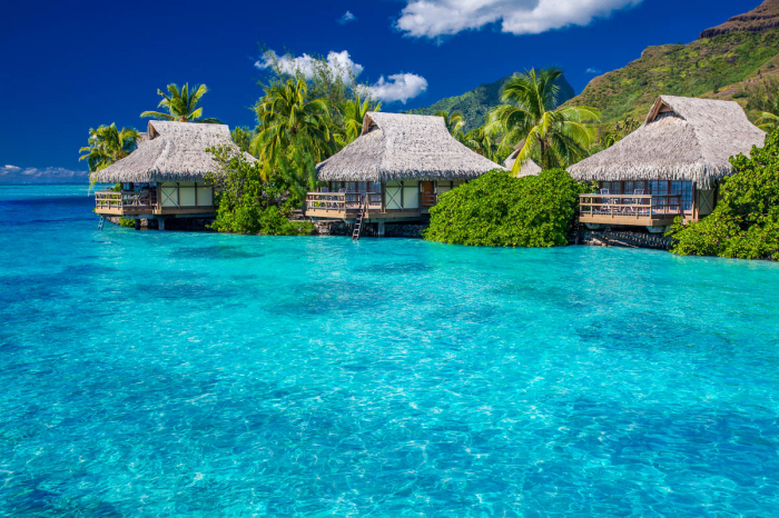 Tahiti Moorea French Polynesia Scuba Diving 3